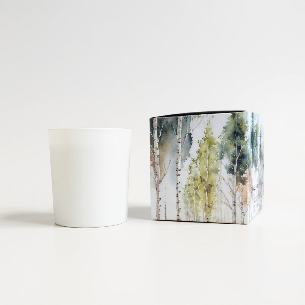 Walk in the Woods Boxed Candle